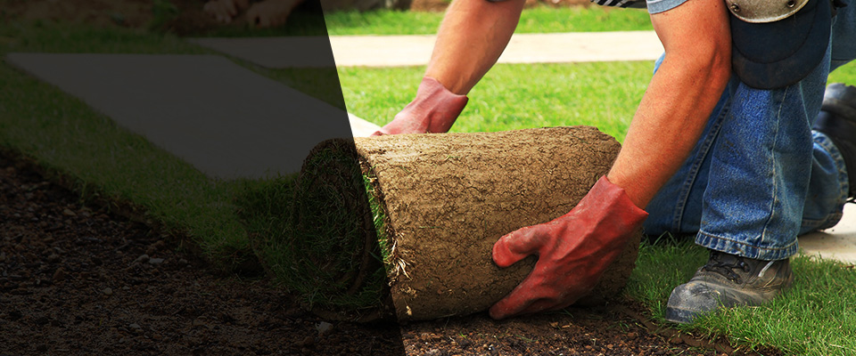 Rigby Landscapers
